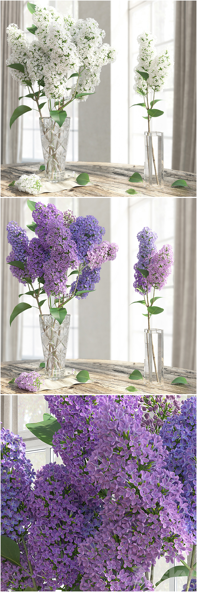 The LILAC \/ LILAC 3DS Max - thumbnail 1