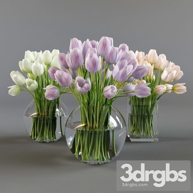 Three Vases Tulips 3dsmax Download - thumbnail 1