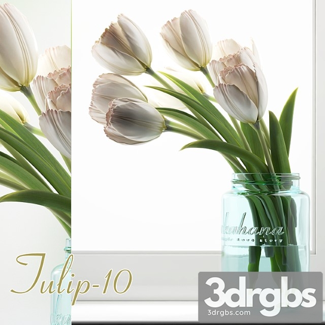 Tulip 10 - thumbnail 1