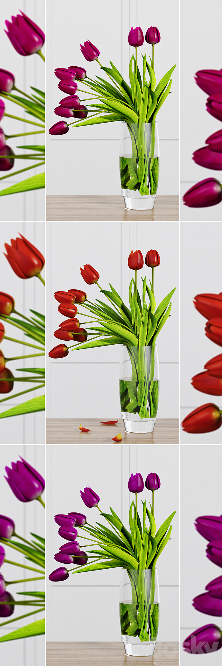 TULIP FLOWERS 3DS Max - thumbnail 1