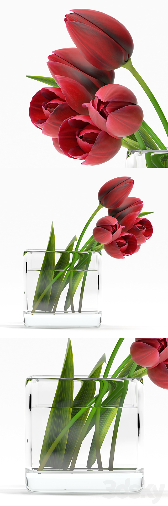 TULIP4 3ds Max - thumbnail 1