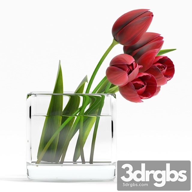 Tulip4 3dsmax Download - thumbnail 1