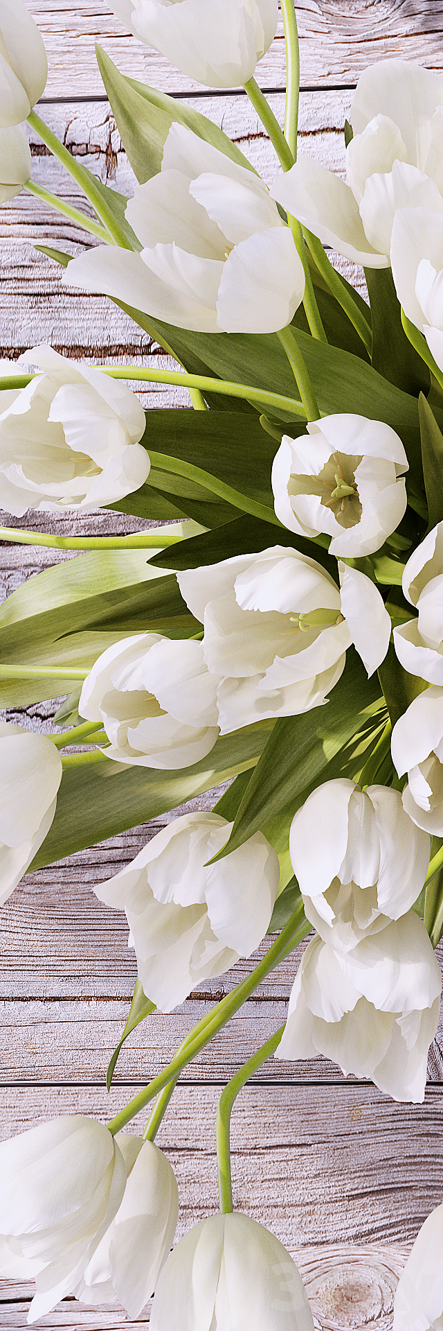 Tulips 3 3DSMax File - thumbnail 3