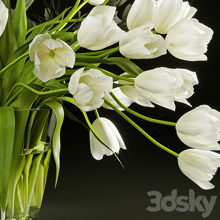 Tulips 3DS Max - thumbnail 2