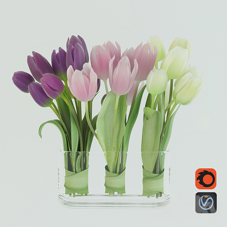 Tulips 3DS Max - thumbnail 1