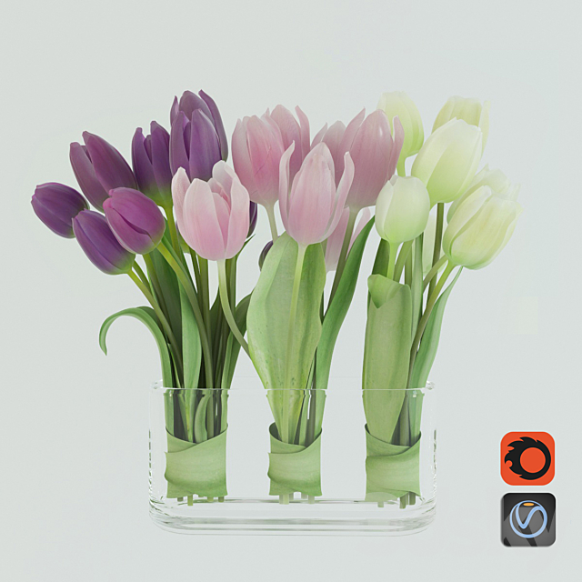 Tulips 3DSMax File - thumbnail 1