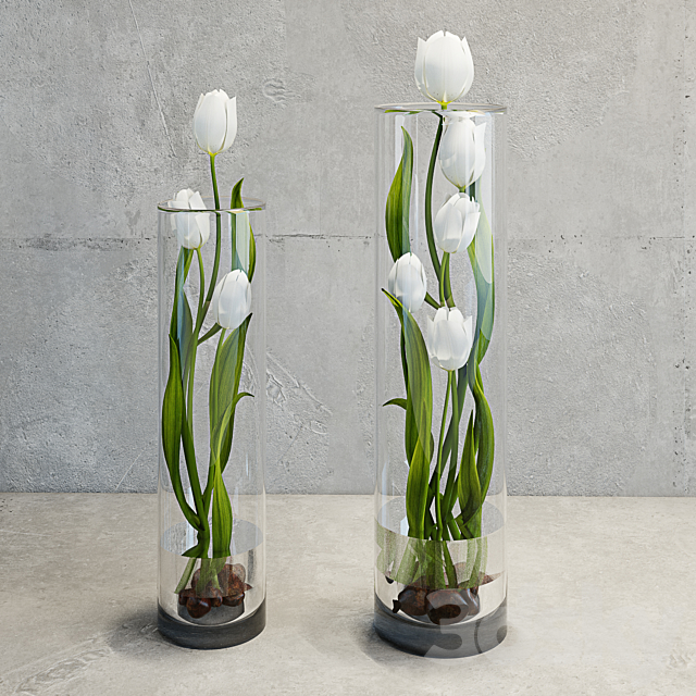 Tulips 3DSMax File - thumbnail 1