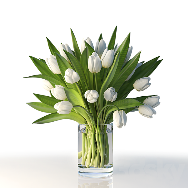 Tulips 3DSMax File - thumbnail 1