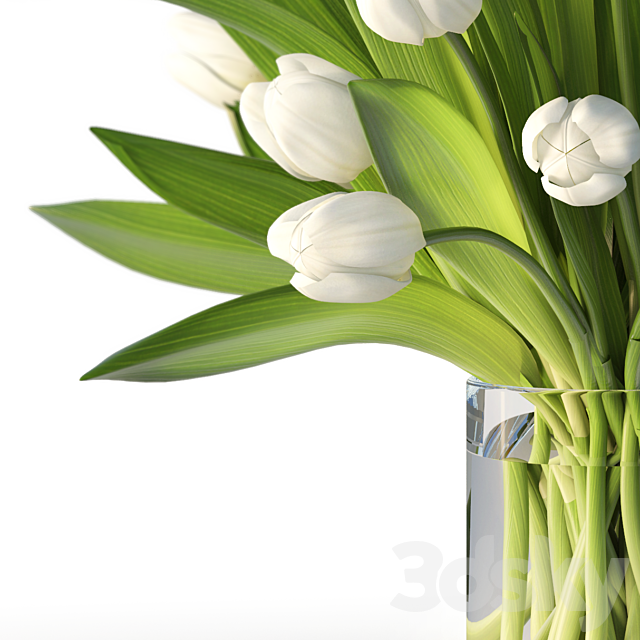 Tulips 3DSMax File - thumbnail 2