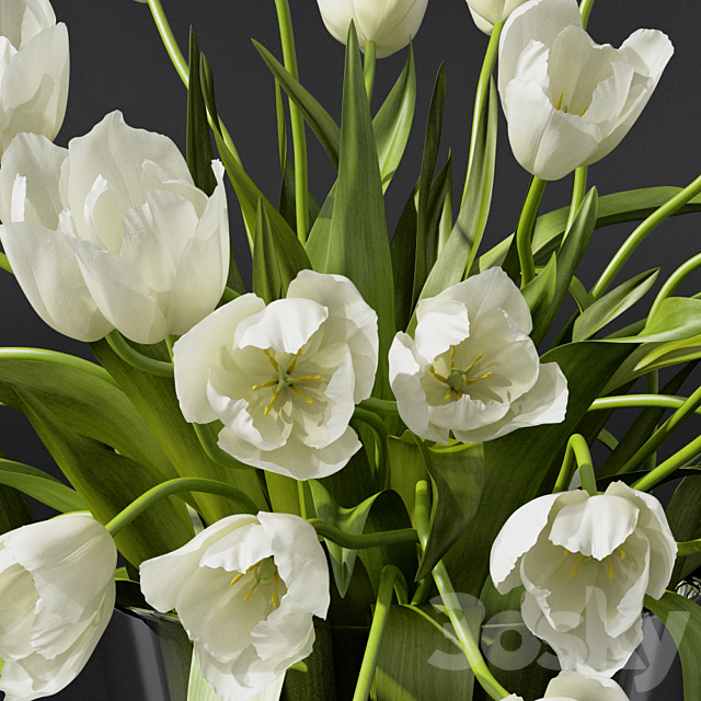 Tulips 3DSMax File - thumbnail 2