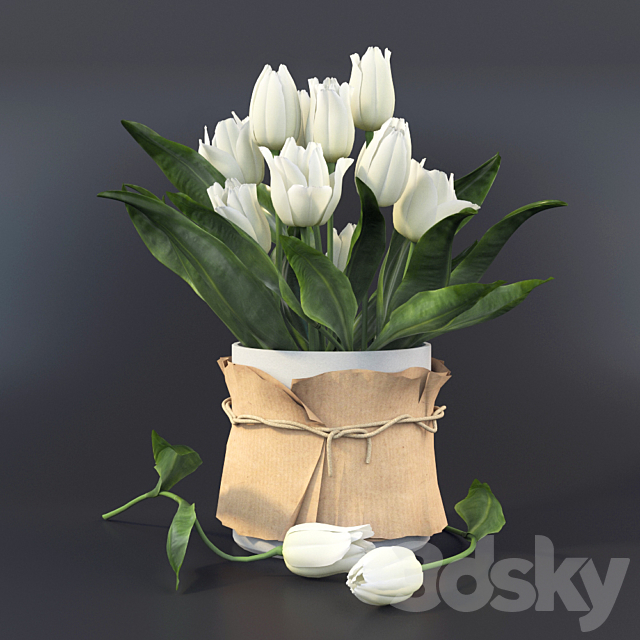 Tulips 3DSMax File - thumbnail 1