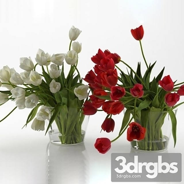 Tulips Bouquet 1 3dsmax Download - thumbnail 1