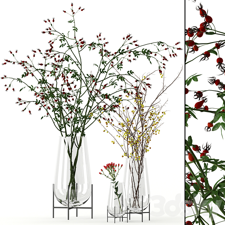 Twigs in Echasse Vases 3DS Max - thumbnail 1