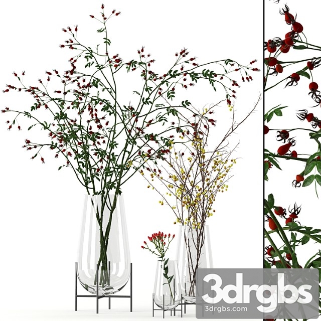 Twigs in echasse vases - thumbnail 1