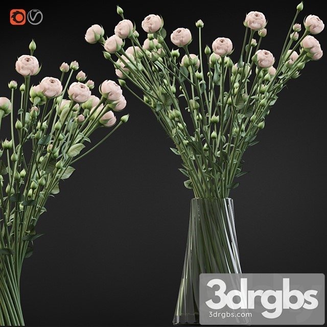 Twist Bouquet of Small Beige Shrub Roses 3dsmax Download - thumbnail 1