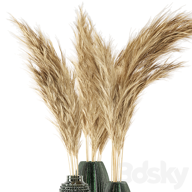 Vase Dry plants 22 – Dried Pampas in handmade vase 3ds Max - thumbnail 2