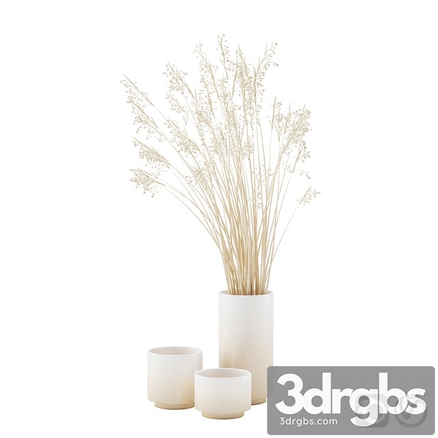 Vase set with dry grass - thumbnail 1