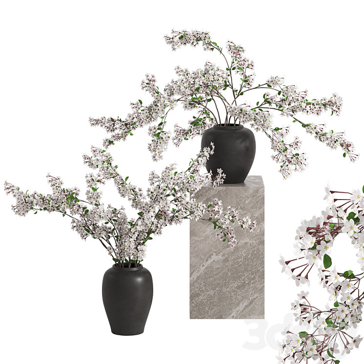 Vases with Branches White Cherry 3DS Max Model - thumbnail 1