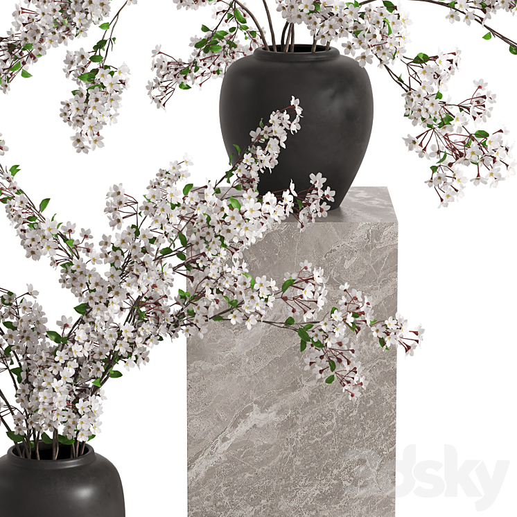 Vases with Branches White Cherry 3DS Max Model - thumbnail 2
