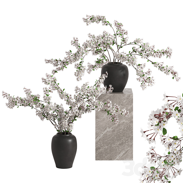 Vases with Branches White Cherry 3DS Max - thumbnail 1