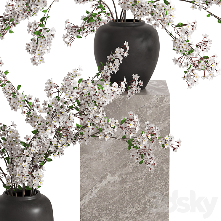 Vases with Branches White Cherry 3DS Max - thumbnail 2