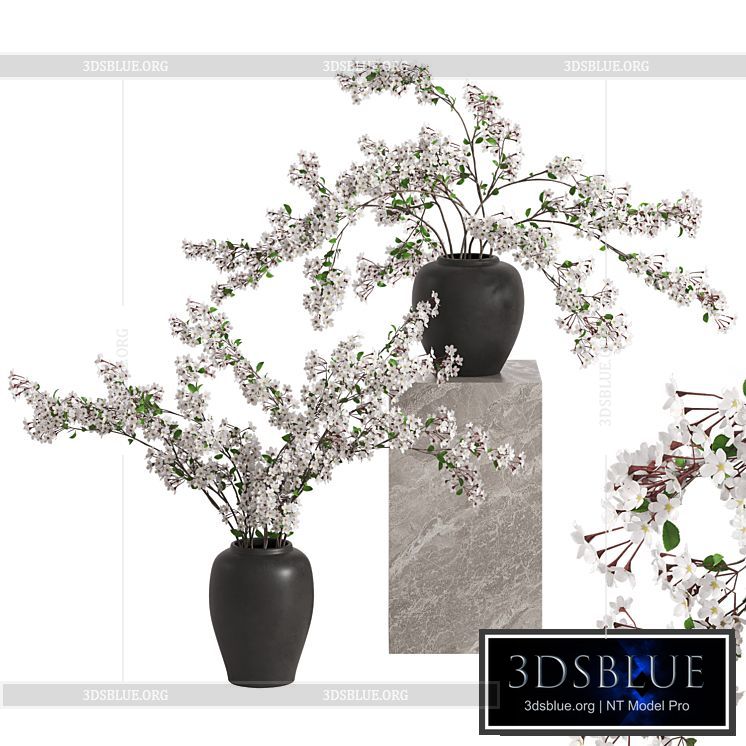 Vases with Branches White Cherry 3DS Max - thumbnail 3