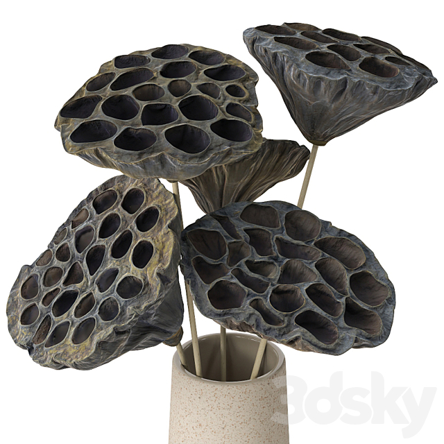 Vases with dried plant 3ds Max - thumbnail 2