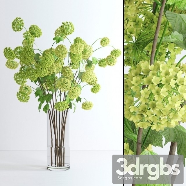 Viburnum Bouquet 3dsmax Download - thumbnail 1