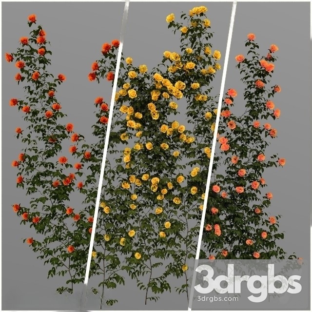 Wall Climbing Flowers 3dsmax Download - thumbnail 1