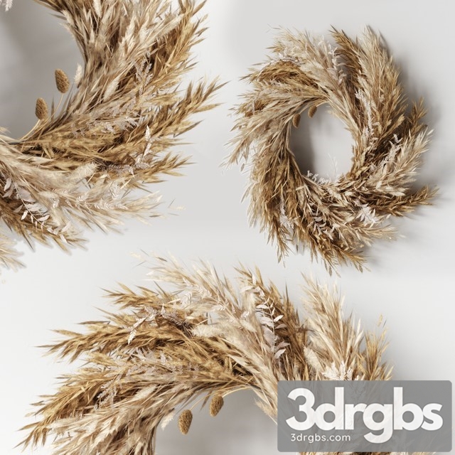 Wall Hanging Pampas Ring 3dsmax Download - thumbnail 1