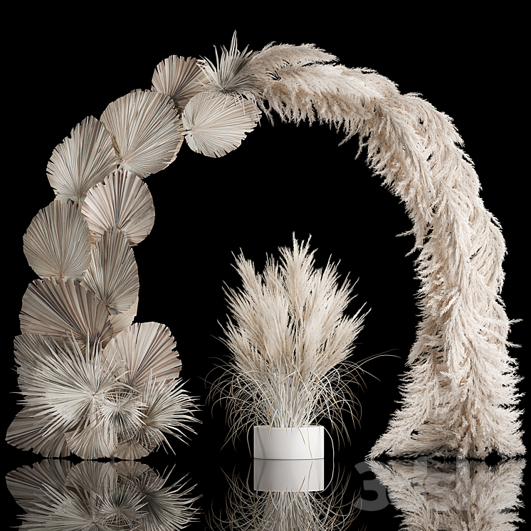 Wedding arch for decoration and decoration of the celebration with a bouquet of white pampas grass and dry palm branches 3DS Max - thumbnail 1