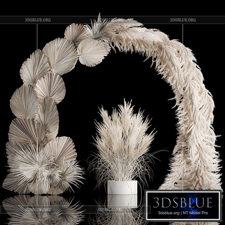 Wedding arch for decoration and decoration of the celebration with a bouquet of white pampas grass and dry palm branches 3DS Max - thumbnail 3