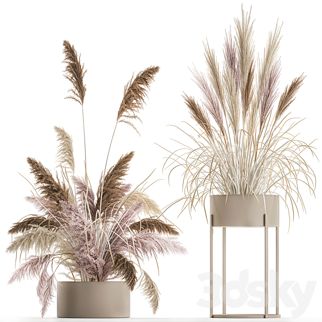 Wedding bouquet composition of pink dried flowers in a vase with Pampas grass Cortaderia veynik. 192. 3ds Max - thumbnail 1