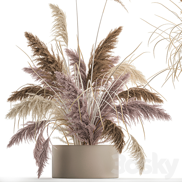 Wedding bouquet composition of pink dried flowers in a vase with Pampas grass Cortaderia veynik. 192. 3ds Max - thumbnail 2