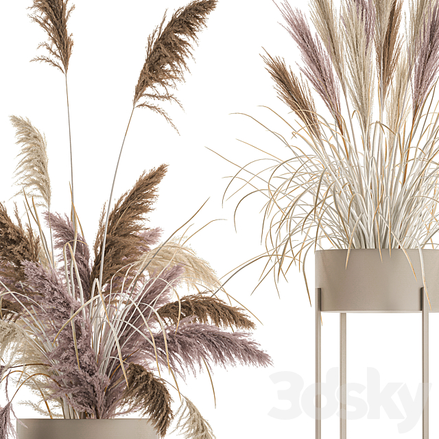 Wedding bouquet composition of pink dried flowers in a vase with Pampas grass Cortaderia veynik. 192. 3ds Max - thumbnail 3