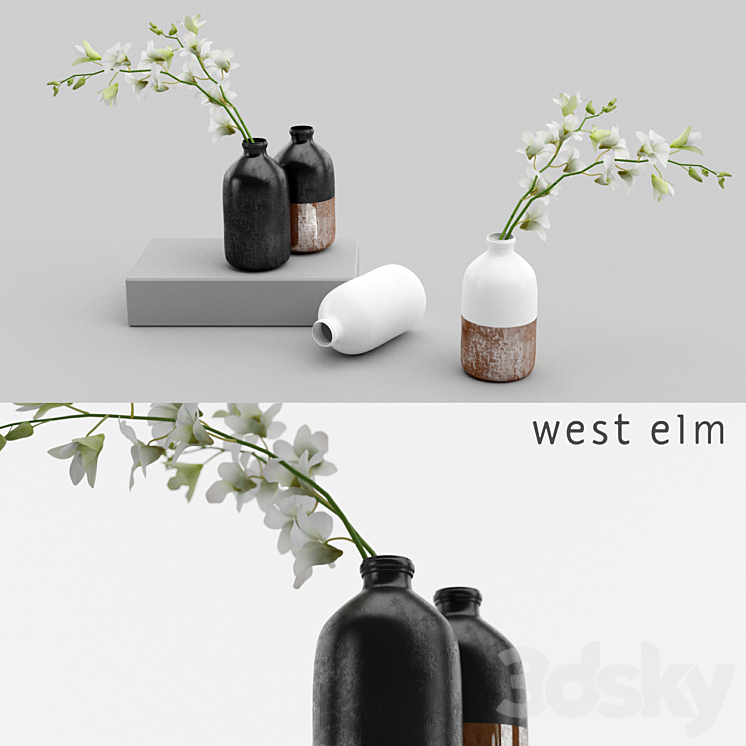 Westelm vases with Orchids 3DS Max - thumbnail 1