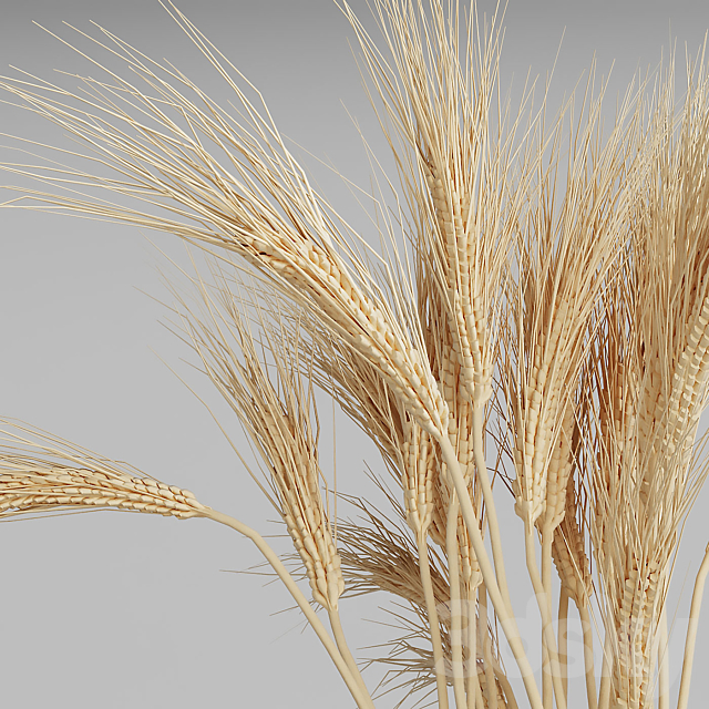 Wheat bouquets 3DSMax File - thumbnail 3