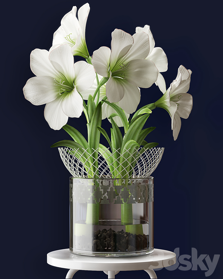 WHITE AMARYLLIS 3DS Max - thumbnail 2