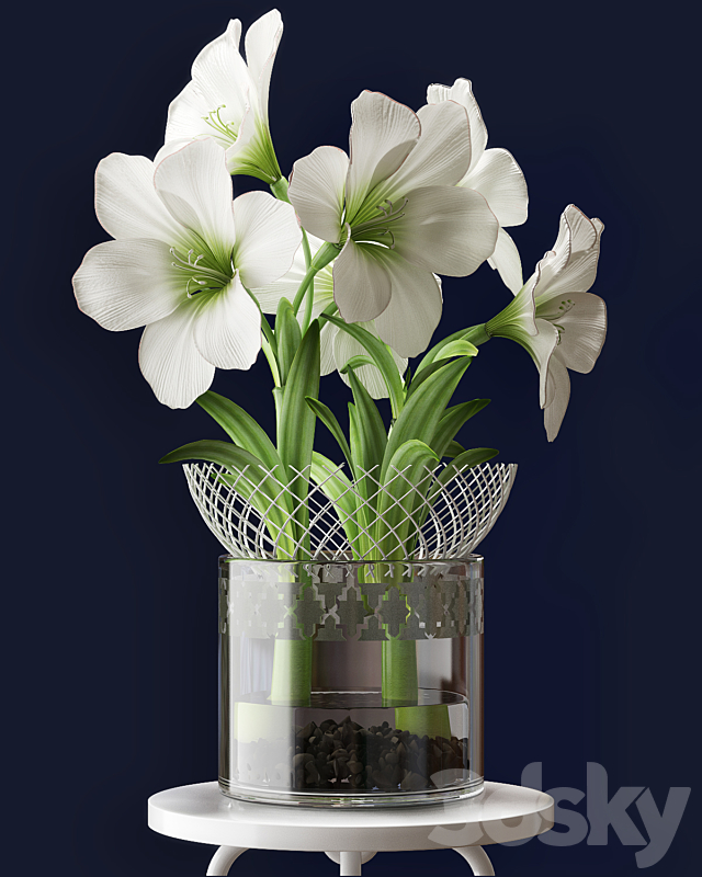 WHITE AMARYLLIS 3DSMax File - thumbnail 2