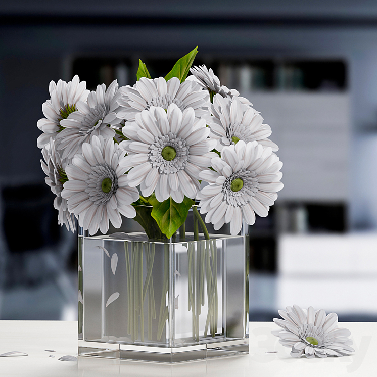 white Gerbera Flower 3DS Max - thumbnail 1