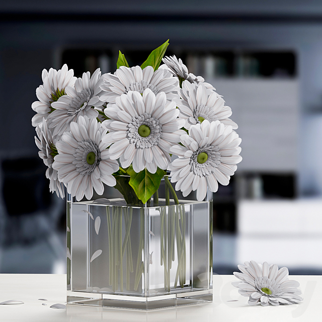 white Gerbera Flower 3DSMax File - thumbnail 1