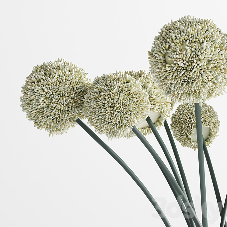 White Handmade Flowers Allium concrete Vase 3DS Max Model - thumbnail 2