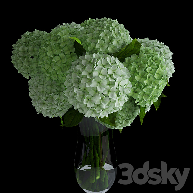 White hydrangea 3DS Max Model - thumbnail 2