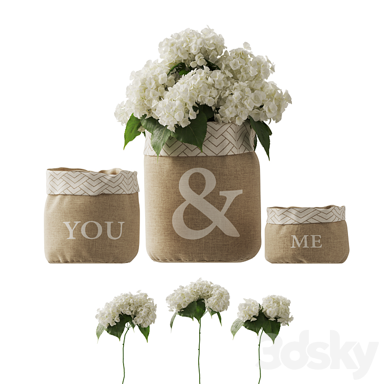 white hydrangea changeable vase 3DS Max - thumbnail 1