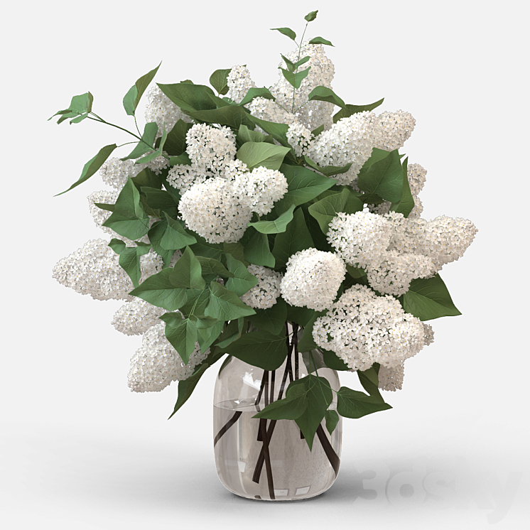 White Lilac 3DS Max - thumbnail 1