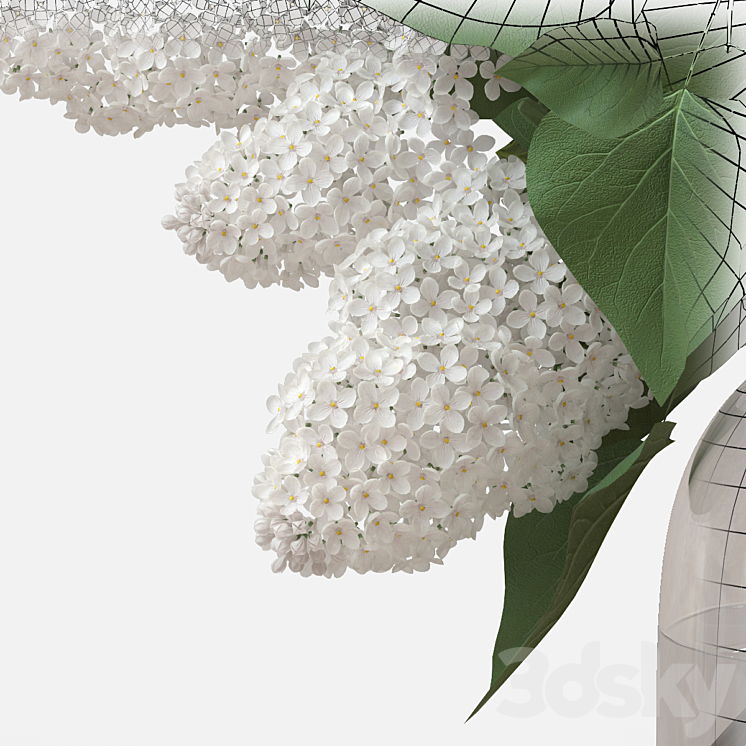 White Lilac 3DS Max - thumbnail 2