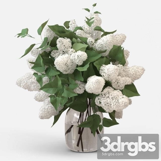 White Lilac Bouquet 3dsmax Download - thumbnail 1