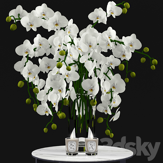 White Orchids and Candles 3ds Max - thumbnail 1