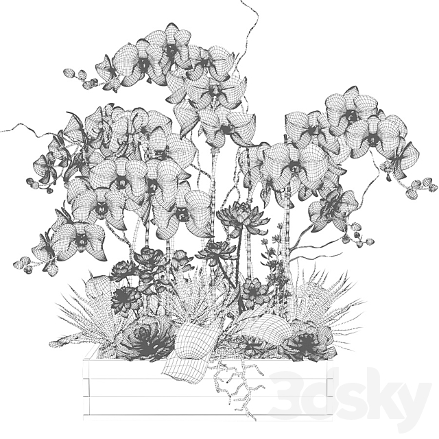 White orchids and succulents in a rectangular planter 3ds Max - thumbnail 3