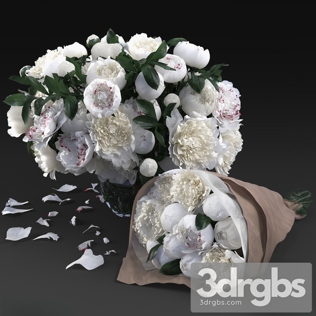 White Peonies 3dsmax Download - thumbnail 1